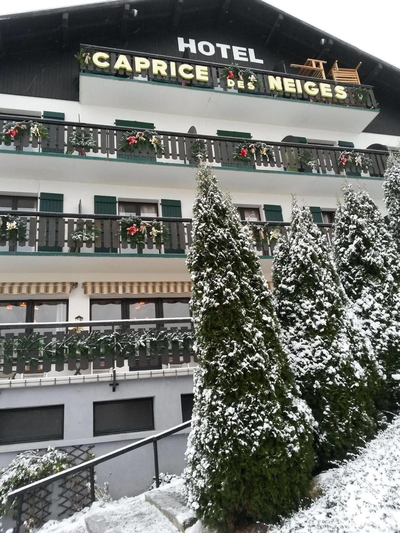 Hotel Le Caprice Des Neiges Комбо Екстериор снимка