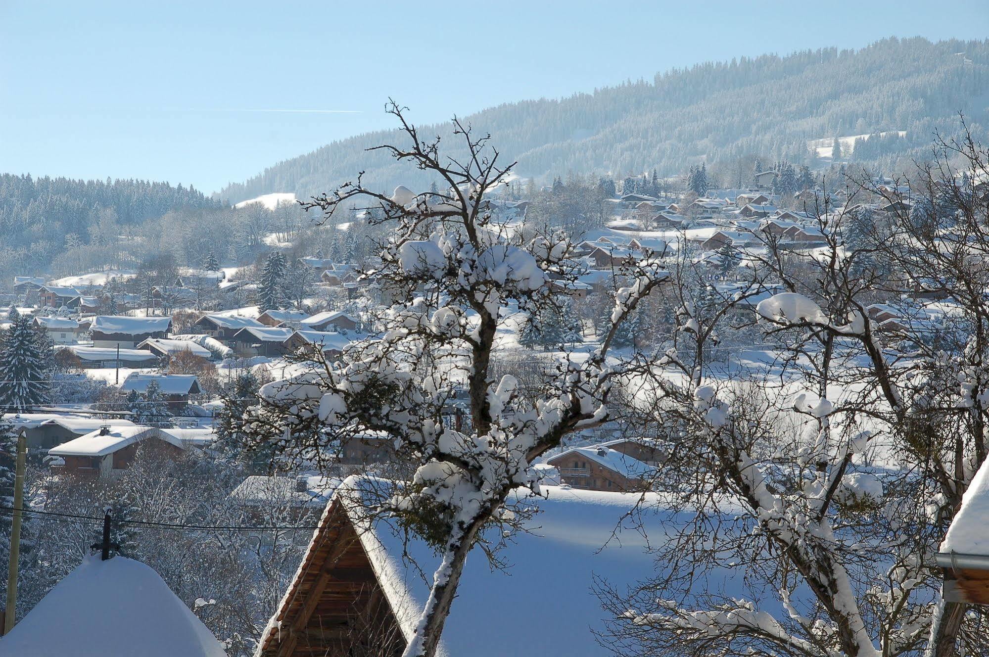 Hotel Le Caprice Des Neiges Комбо Екстериор снимка