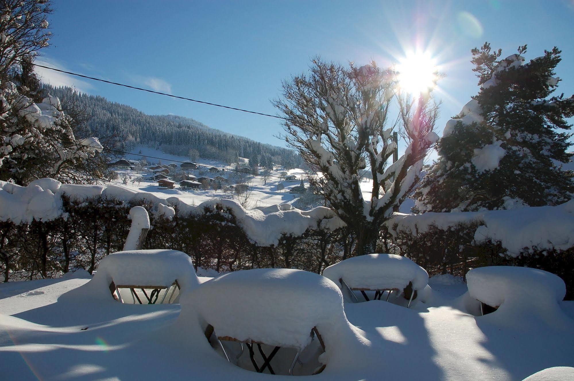 Hotel Le Caprice Des Neiges Комбо Екстериор снимка